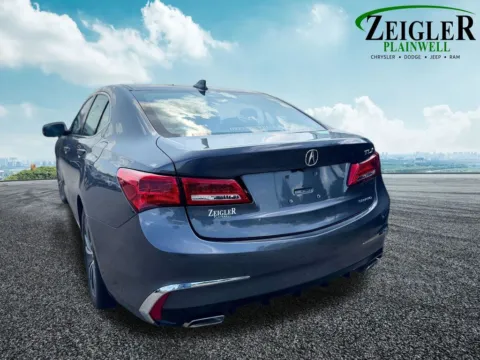 Another view of 2019 Acura TL Technology for sale in Plainwell, MI at Zeigler Chrysler Dodge Jeep Ram of Plainwell