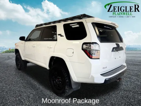 Another view of 2020 Toyota 4Runner TRD Off-Road Premium for sale in Plainwell, MI at Zeigler Chrysler Dodge Jeep Ram of Plainwell