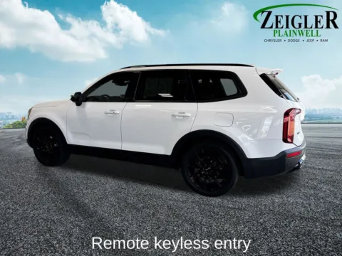 Another view of 2022 Kia Telluride EX for sale in Plainwell, MI at Zeigler Chrysler Dodge Jeep Ram of Plainwell