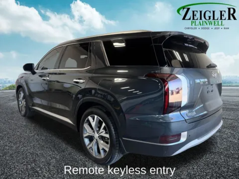 Another view of 2020 Hyundai Palisade SEL for sale in Plainwell, MI at Zeigler Chrysler Dodge Jeep Ram of Plainwell