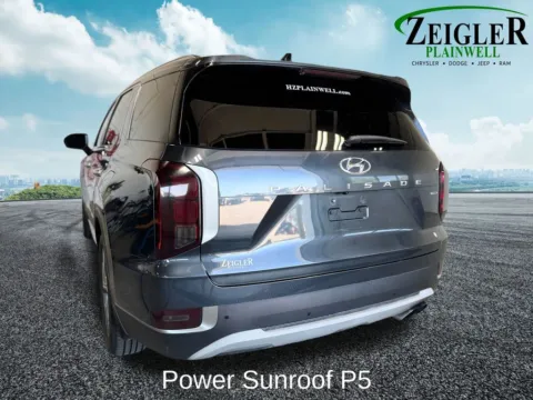 More photos of 2020 Hyundai Palisade SEL at Zeigler Chrysler Dodge Jeep Ram of Plainwell, MI