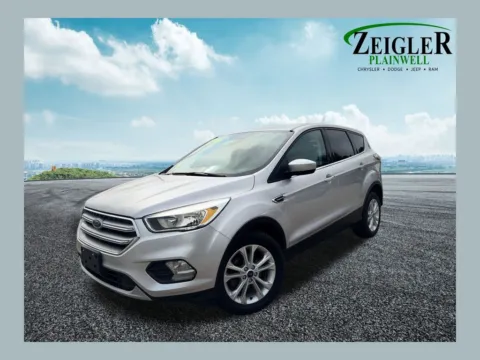 Silver 2017 Ford Escape SE for sale in Plainwell, MI