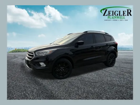Black 2019 Ford Escape SE for sale in Plainwell, MI