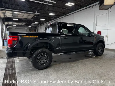 More photos of 2025 Ford F-150 Tremor at Zeigler Chrysler Dodge Jeep Ram of Plainwell, MI