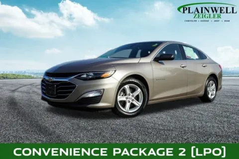 Gray 2022 Chevrolet Malibu LS for sale in Plainwell, MI