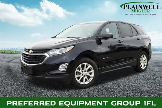 2020 Chevrolet Equinox LS for sale in Plainwell, MI