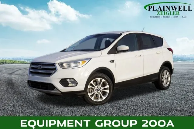2019 Ford Escape SE for sale in Plainwell, MI