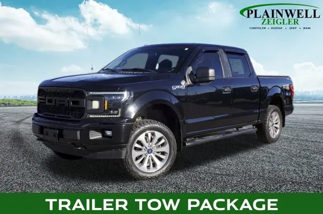 Black 2018 Ford F-150 XL for sale in Plainwell, MI