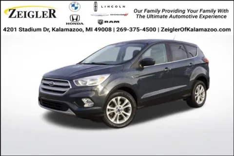 Green 2019 Ford Escape SE for sale in Kalamazoo, MI