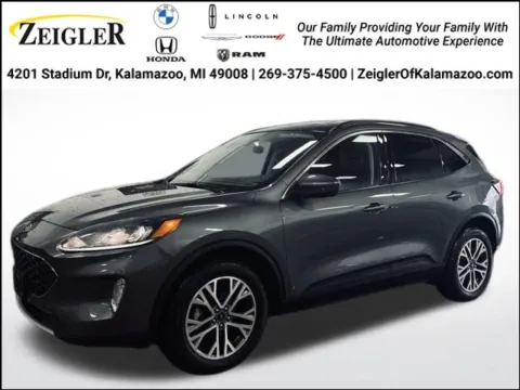 Gray 2022 Ford Escape SEL for sale in Kalamazoo, MI