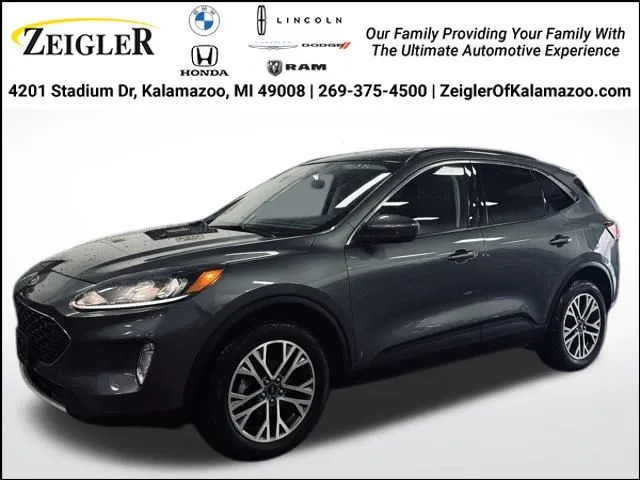 Gray 2022 Ford Escape SEL for sale in Kalamazoo, MI