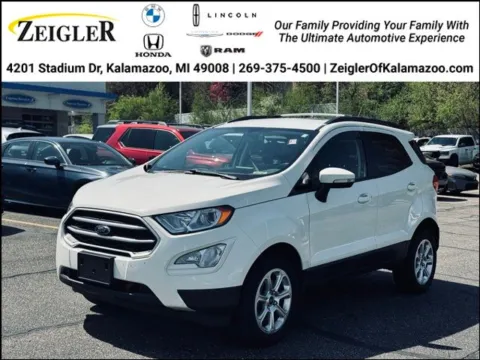 White 2020 Ford EcoSport SE for sale in Kalamazoo, MI