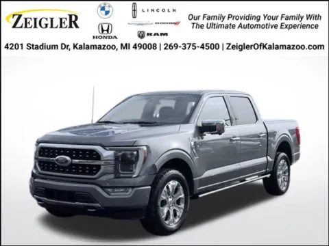 Gray 2021 Ford F-150 Platinum for sale in Kalamazoo, MI
