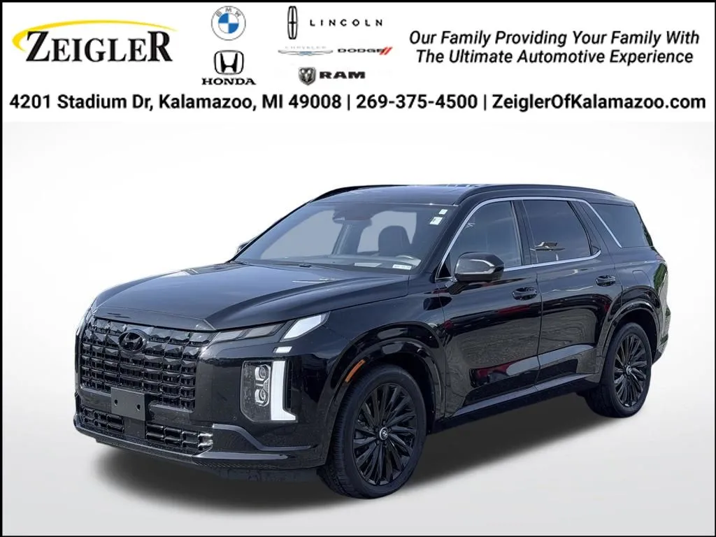 2024 Hyundai Palisade Calligraphy Night Edition for sale in Kalamazoo, MI
