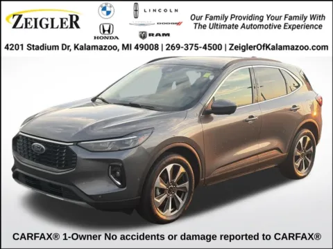 Gray 2023 Ford Escape Platinum for sale in Kalamazoo, MI