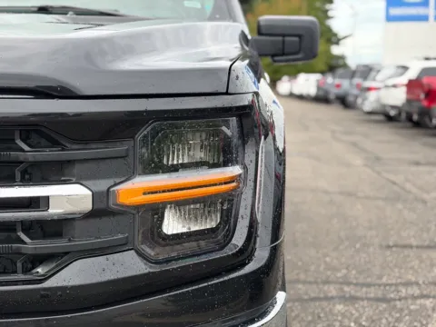 More photos of 2025 Ford F-150 XLT at Zeigler BMW of Kalamazoo, MI