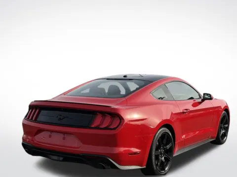 More photos of 2019 Ford Mustang EcoBoost at Zeigler BMW of Kalamazoo, MI