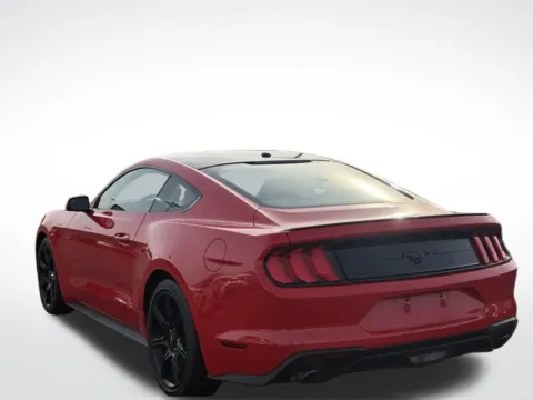 Another view of 2019 Ford Mustang EcoBoost for sale in Kalamazoo, MI at Zeigler BMW of Kalamazoo