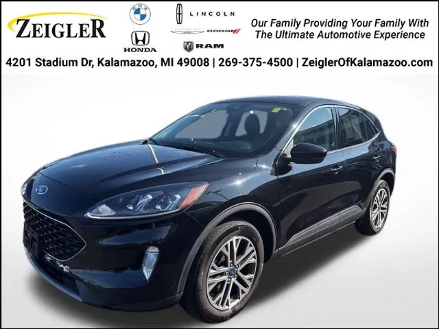 Black 2022 Ford Escape SEL for sale in Kalamazoo, MI
