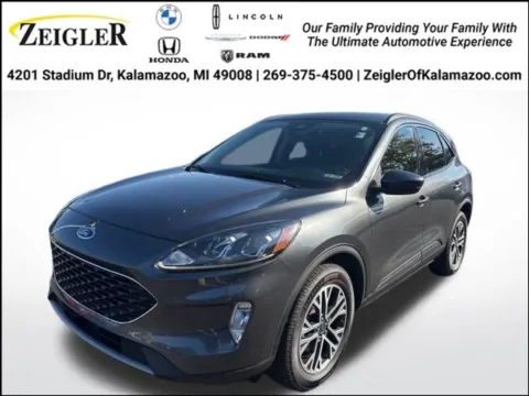 Gray 2020 Ford Escape SEL for sale in Kalamazoo, MI