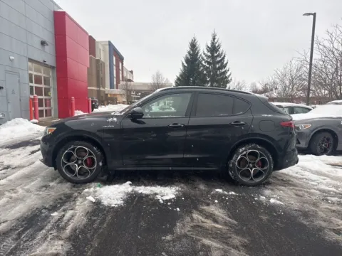 More photos of 2023 Alfa Romeo Stelvio Veloce at Zeigler Chrysler Dodge Jeep Ram of Grandville, MI