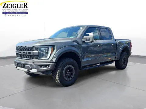 Gray 2021 Ford F-150 Raptor for sale in Grandville, MI