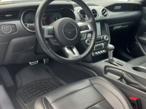More photos of 2019 Ford Mustang GT at Zeigler Chrysler Dodge Jeep Ram of Grandville, MI