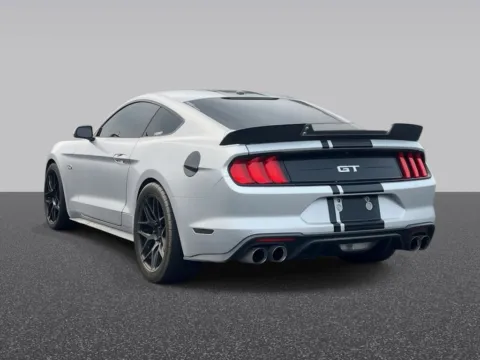More photos of 2019 Ford Mustang GT at Zeigler Chrysler Dodge Jeep Ram of Grandville, MI
