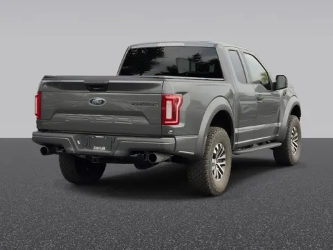 Another view of 2020 Ford F-150 Raptor for sale in Grandville, MI at Zeigler Chrysler Dodge Jeep Ram of Grandville