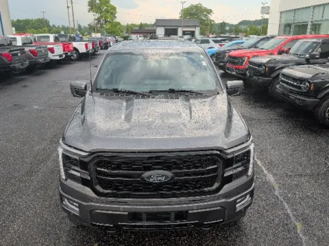 More photos of 2024 Ford F-150 Lariat at Zeigler Chrysler Dodge Jeep Ram of Grandville, MI