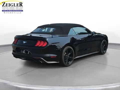 More photos of 2019 Ford Mustang EcoBoost Premium at Zeigler Chrysler Dodge Jeep Ram of Grandville, MI