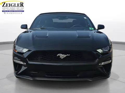 Photos of 2019 Ford Mustang EcoBoost Premium for sale in Grandville, MI at Zeigler Chrysler Dodge Jeep Ram of Grandville