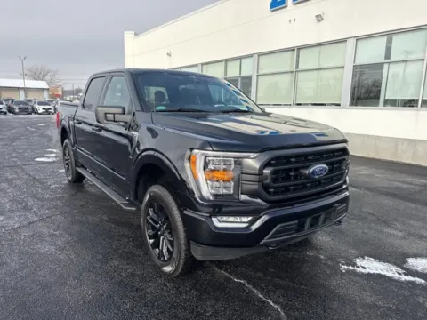 More photos of 2023 Ford F-150 XLT at Zeigler Ford of Lowell, MI
