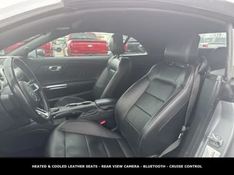 Photos of 2023 Ford Mustang EcoBoost Premium for sale in Lowell, MI at Zeigler Ford of Lowell