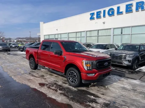 More photos of 2023 Ford F-150 XLT at Zeigler Ford of Lowell, MI