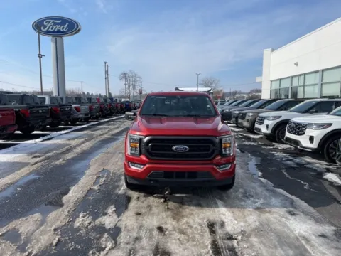 More photos of 2023 Ford F-150 XLT at Zeigler Ford of Lowell, MI