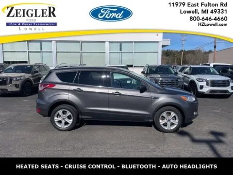Gray 2013 Ford Escape SE for sale in Lowell, MI