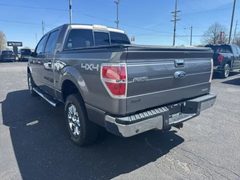 More photos of 2014 Ford F-150 XLT at Zeigler Ford of Lowell, MI