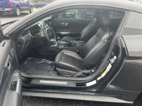 Photos of 2021 Ford Mustang GT Premium for sale in Lowell, MI at Zeigler Ford of Lowell