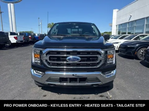 More photos of 2023 Ford F-150 XLT at Zeigler Ford of Lowell, MI