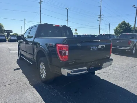 More photos of 2023 Ford F-150 XLT at Zeigler Ford of Lowell, MI