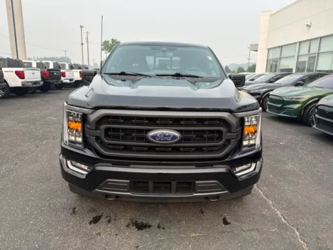 Another view of 2023 Ford F-150 XLT for sale in Lowell, MI at Zeigler Ford of Lowell