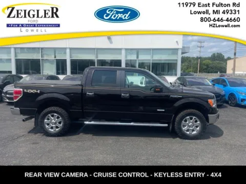 Brown 2013 Ford F-150 XLT for sale in Lowell, MI