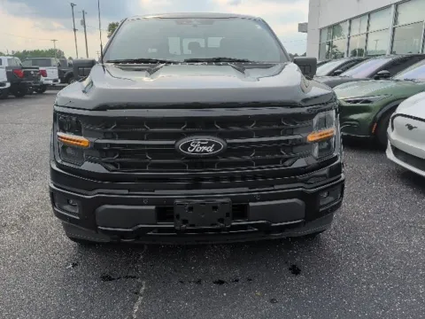 Another view of 2024 Ford F-150 XLT for sale in Lowell, MI at Zeigler Ford of Lowell