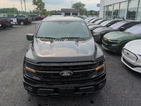 More photos of 2024 Ford F-150 XLT at Zeigler Ford of Lowell, MI