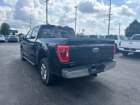More photos of 2023 Ford F-150 XLT at Zeigler Ford of Lowell, MI