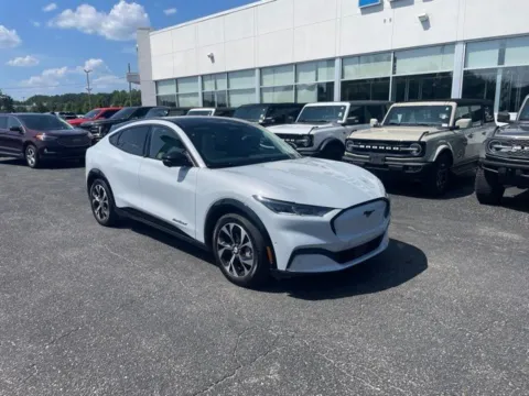 More photos of 2023 Ford Mustang Mach-E Premium at Zeigler Ford of Lowell, MI