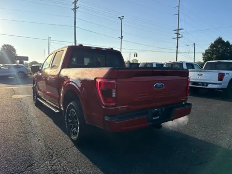 More photos of 2023 Ford F-150 XLT at Zeigler Ford of Lowell, MI