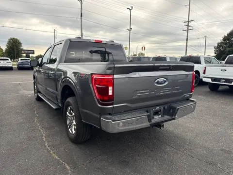 More photos of 2023 Ford F-150 XLT at Zeigler Ford of Lowell, MI