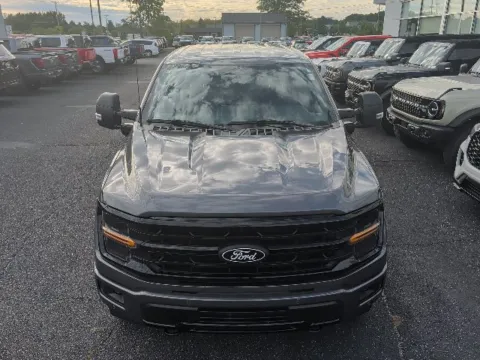 More photos of 2024 Ford F-150 XLT at Zeigler Ford of Lowell, MI